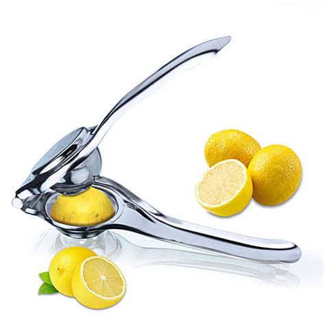 Buy Anjali Lemon Squeezer Stainless Steel 1 Pc Online At Best Price Of Rs 199 Bigbasket