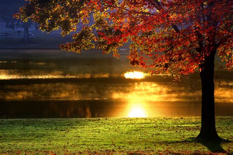 Autumn Delight Sunset Wallpaper Landscape Sunset