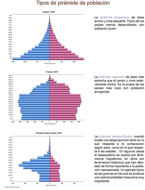 Tipos De Pirámides De Población Blog De Política Y Actualidad