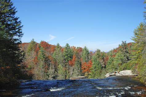 Fall River Stock Photo Image Of Autumn Water Carolina 11686390