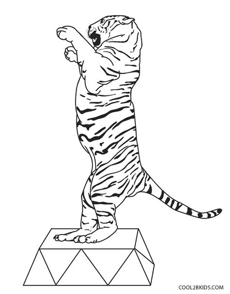 Enjoy these free coloring pages to color, paint or crafty educational projects for young children, preschool, kindergarten and early elementary. Free Printable Tiger Coloring Pages For Kids