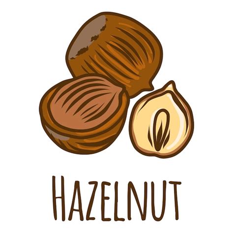 Premium Vector Hazelnut Piece Icon Hand Drawn Illustration Of