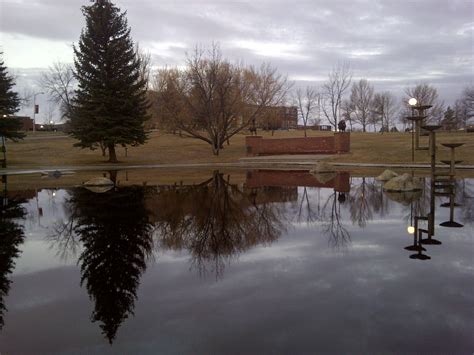MSU Northern in Havre Montana | Big sky country, Wonderful places, Montana