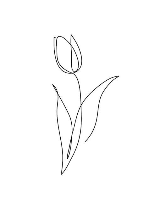 Tulip Flower Line Art Minimalist Contour Drawing One Line Art