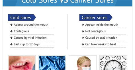 Find Out The Difference Between Cold Sores And Canker Sores Canker My