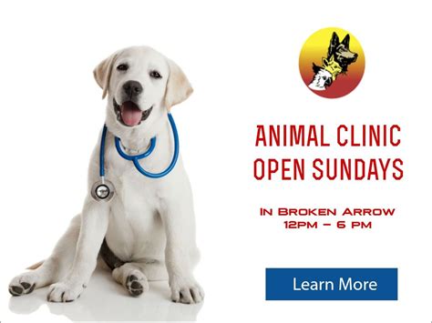 Get the detailed quarterly/annual income statement for petmed express, inc. Pet Stores Near Me Open Sunday