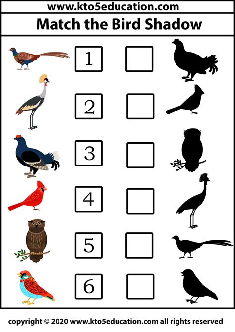 Matching Worksheets Animal Worksheets Preschool Kindergarten
