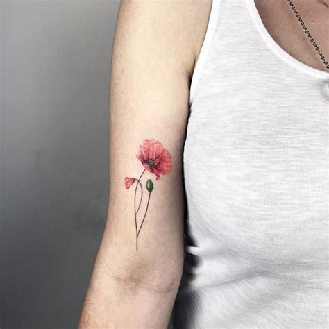 We did not find results for: 60 Beautiful Poppy Tattoo Designs and Meanings | Page 3 of ...