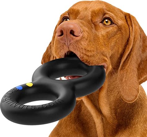 The Best 10 Indestructible Dog Toys For Heavy Chewers