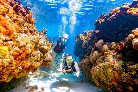 Scuba Diving St Lucia Best Spots What To Expect Sandals Scuba Diving Jamaica Resorts