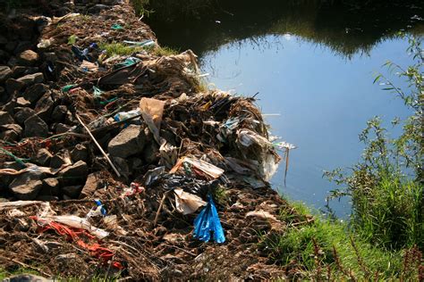 Polluted River Bank Free Stock Photo - Public Domain Pictures