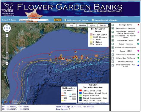 Gulf Of Mexico Flower Garden Banks Texas Pelagics