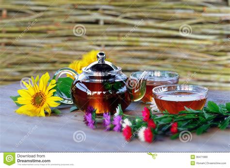 Herbal Tea In Teapot And Cup Stock Image Image Of Green Bowl 36471889