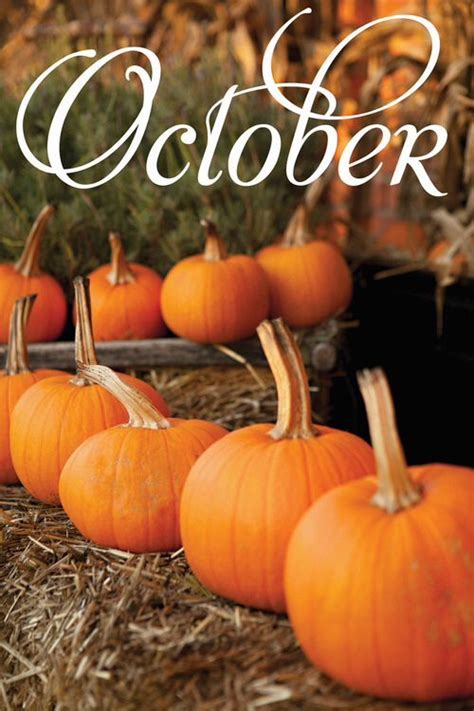 20 Best New Months October Images On Pinterest Hello October