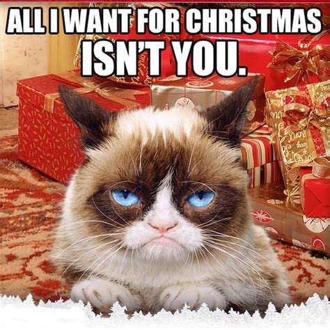 All I Want For Christmas Isnt You Grumpy Cat Christmas Funny