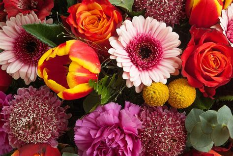 Blumen Blumenstrauß Pflanzen · Kostenloses Foto Auf Pixabay