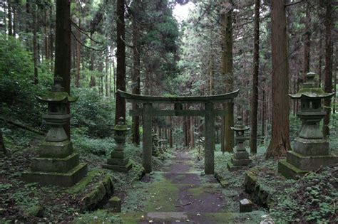 10 Fascinating Shots Of The Mystical Forest Shrine In Japan