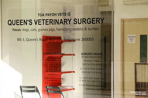 Veterinary Medicine Surgery Singapore Toa Payoh Vets Dogs Cats