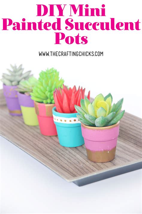 Diy Mini Painted Succulent Pots The Crafting Chicks