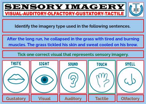Sensory Imagery Worksheets With Answers Teaching Resources