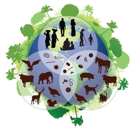 Biodiversidad Qué Es Importancia Tipos Conservación Ecología Hoy