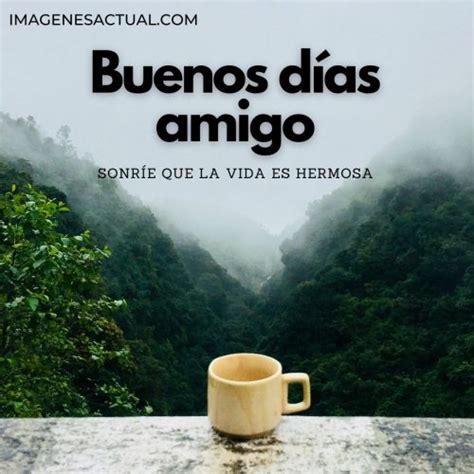 Las Mejores Imágenes De Buenos Días Amigo Frases Saludos Y Mensajes