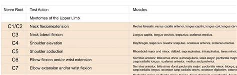 Cervical Myotomes Chart