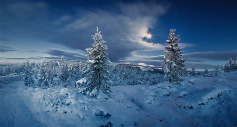 Wallpaper Trees Landscape Forest Nature Sky Snow Winter Clouds