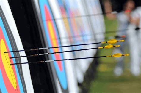 How To Choose Arrows A Guide 2023 Update The Complete Guide To Archery