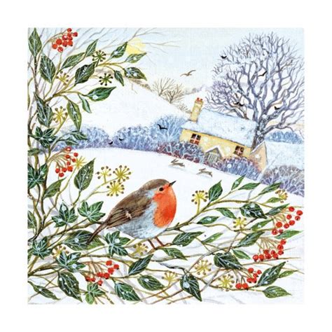 Museums And Galleries Winter Cottage And Robin Pack Of 5 Christmas Cards