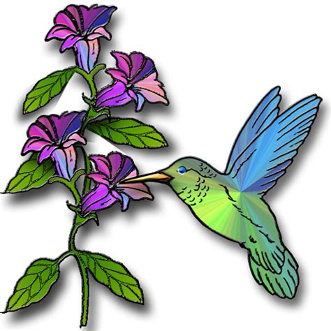 Hummingbirds Clipart Clipart Best
