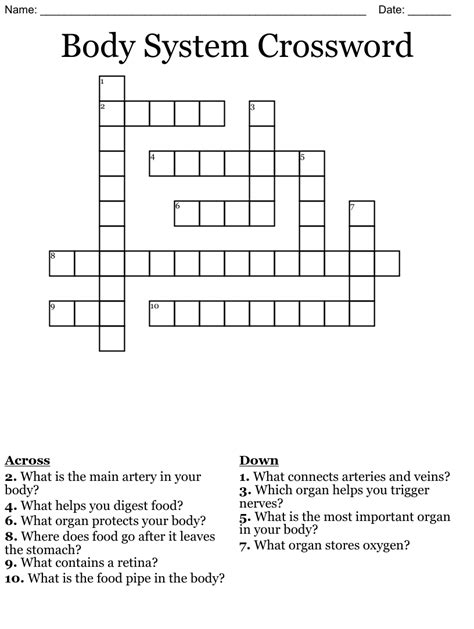 Body System Crossword Wordmint