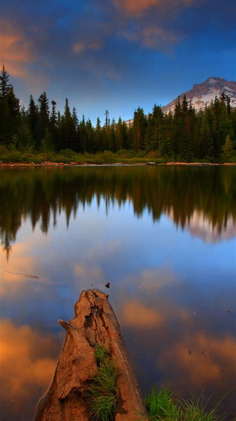 Free Download Landscape Mt Hood National Oregon Nature Photo Wallpapers