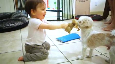 Hilarious Baby Plays Tug Of War W Dog Youtube