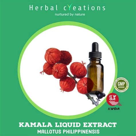 Kamala Liquid Extract Mallotus Philippinensis Packaging Type Hdpe Can At Rs 575 Kg In Nainital