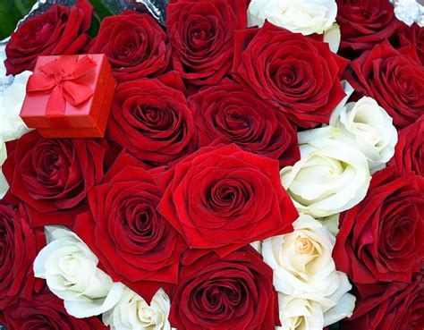 Hd Wallpaper Red And White Roses Flowers Bouquet Box Offer Rose Flower Wallpaper Flare