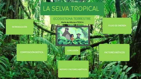 La Selva Tropical By MarÍa De Alfonso