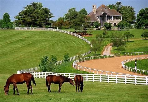 1 Thoroughbred Heritage Horse Farm Tours In Lexington Horse Stables