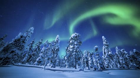Northern Lights Aurora Borealis Over Winter Forest Uhd 4k Wallpaper