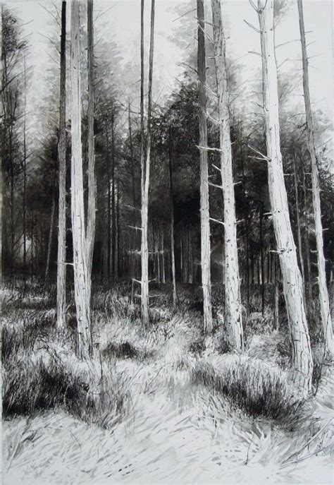 Entrance Ink Drawing Of A Forest By Mark Lippett Trees Forest