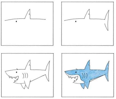 Aprende Como Dibujar Un Tiburon Facil Paso A Paso 2022 Tiburon
