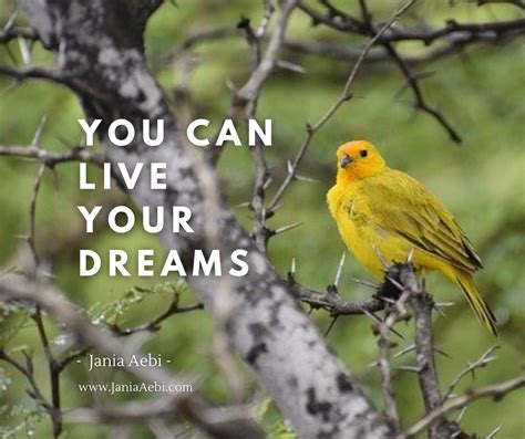 You Can Live Your Dreams Jania Aebi