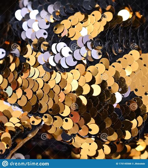 Gold And Silver Sequins Stock Photo Image Of Cloth 170145566
