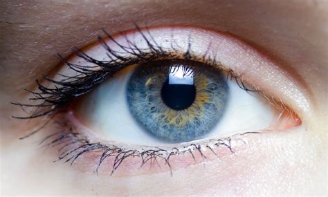5 Cores De Olhos Mais Exóticas E Lindas Do Mundo Fatos Desconhecidos