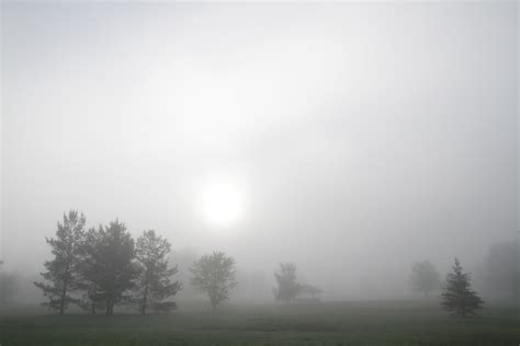 Free Images Fog Mist Sunlight Morning Dawn Atmosphere Mystery