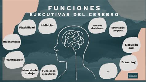 Funciones Ejecutivas Del Cerebro By Camila Ocampo My Xxx Hot Girl