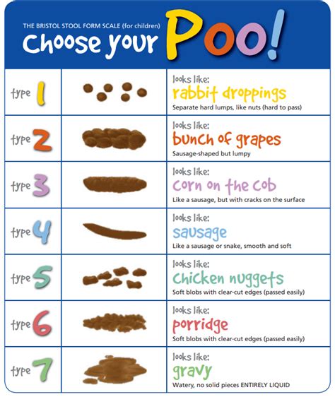 Amazing Bristol Stool Scale Poster Of All Time Don T Miss Out Stoolz