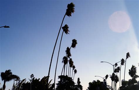 Powerful Santa Ana Winds Lash Southern California Ap News