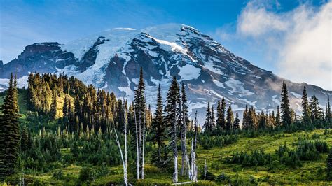 Nature Landscape Mount Rainier Washington State Mountain Snowy