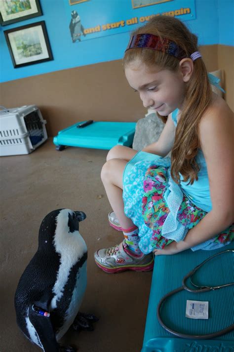 Evan And Lauren S Cool Blog 8 7 14 Mystic Aquarium And Penguin Encounter